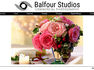 thumbnail image for balfourstudios web site